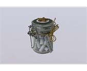 Spruch - Adventskalender